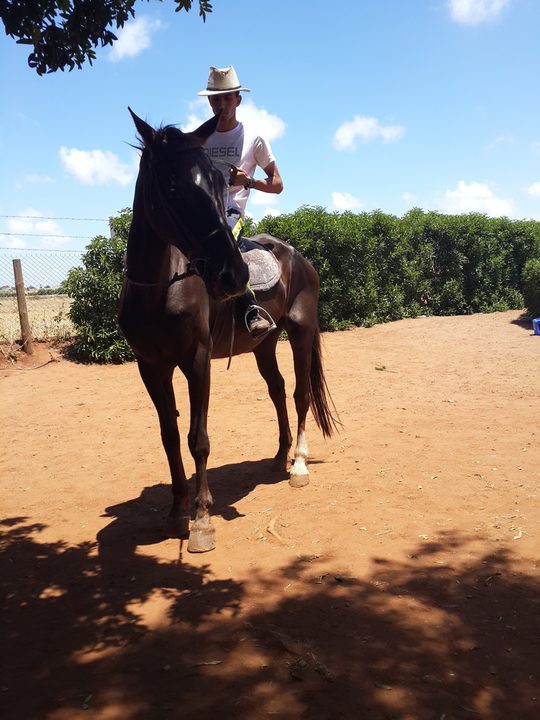Balade à cheval
